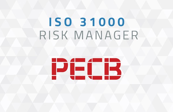iso 31000 risk manager