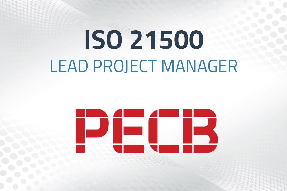 iso 25100 lead project managment
