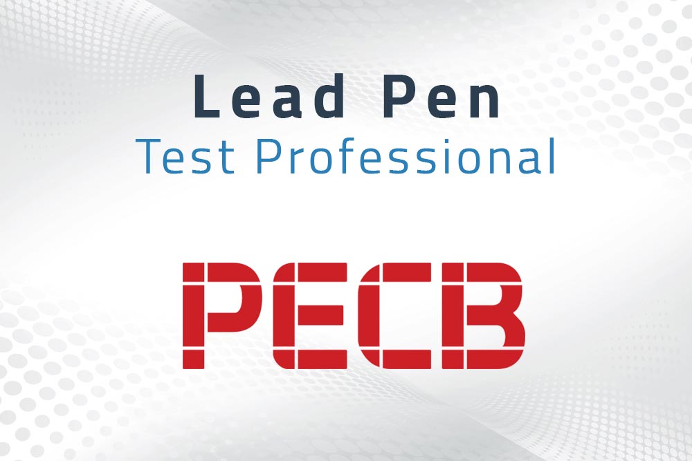 Lead Pen Test Professional