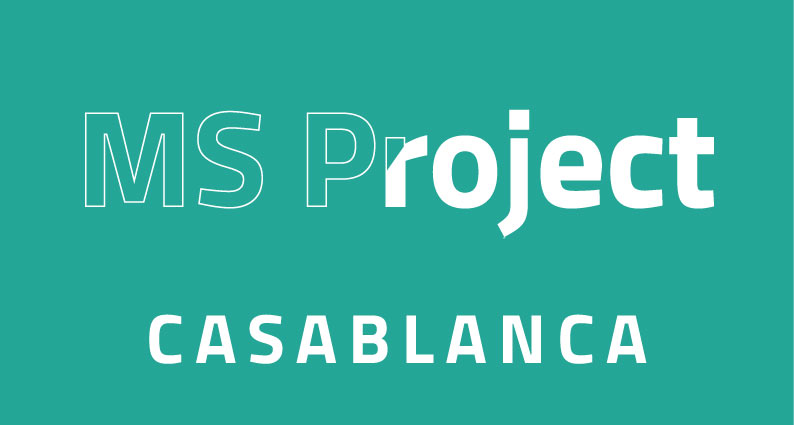 ms-project