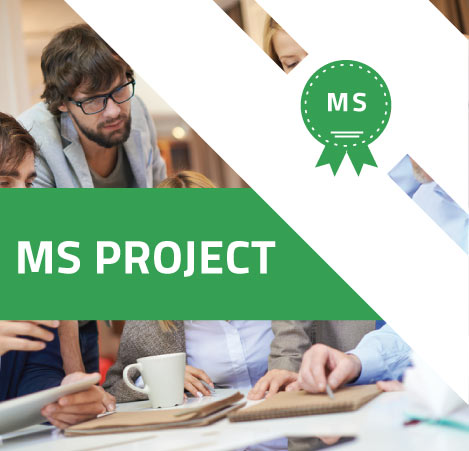 MS Project P3O