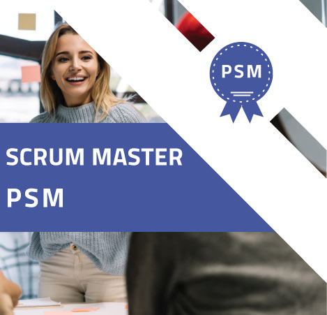PSM-I日本語版問題解説