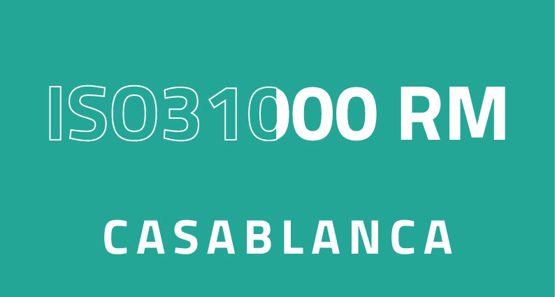 iso31000 rm