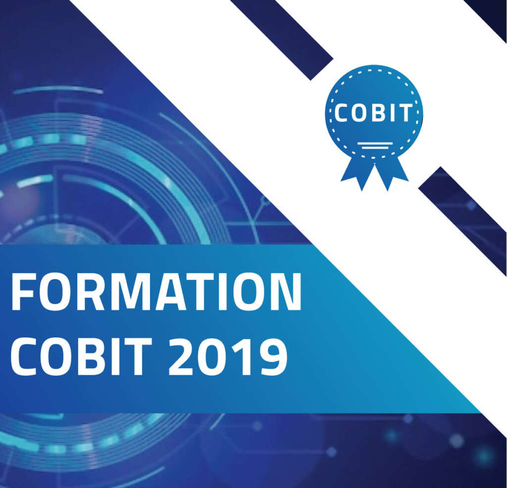 COBIT-2019 Online Tests