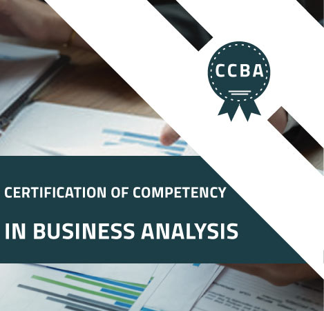 CCBA出題範囲