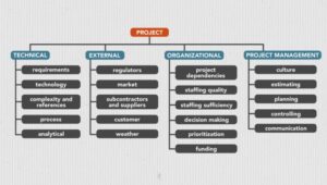 risk categories