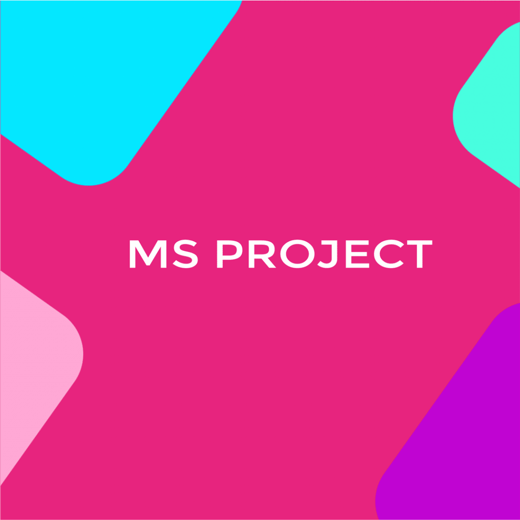 ms project